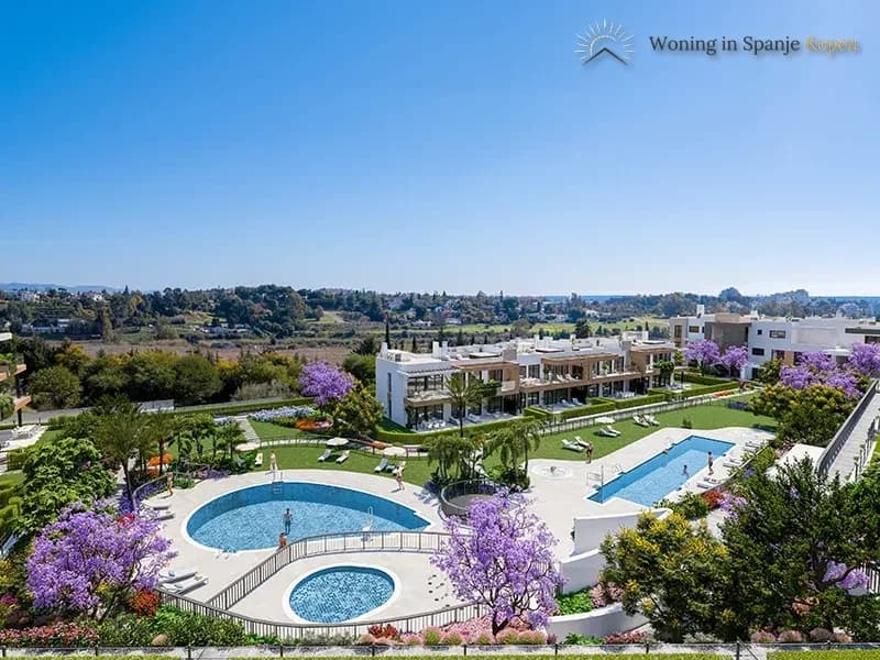 Atalaya Emotion
